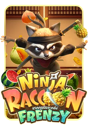 Ninja-Raccoon-Frenzy